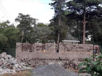 Project 4